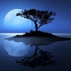 Mindful Sitting Meditation