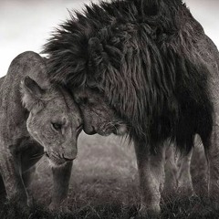 Shantoi - Rock With Me