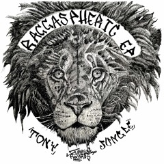 Tony Jungle - Raggaspheric EP