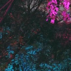 Gemini - Fire Inside (F1zzy Remix)