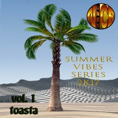 NICEONES_SUMMERVIBES2K17_VOL1.TOASTA