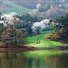 رقية الشيخ صابر2.m4a