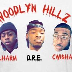 GOT IT x Woodlyn Hillz (prod. WhoOnTheTrack)