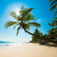 Island Paradise