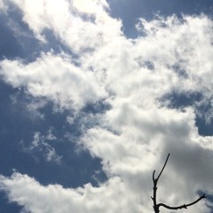 Don't Think Twice, It's Alright