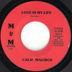 Calif. Malibus - I Stand Alone