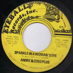 Andre & Zero Plus - Sparkle In A Woman's Eye
