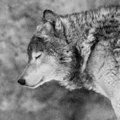 No Help(feat. KeVindetta)