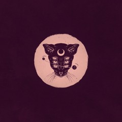 Moon Surfer