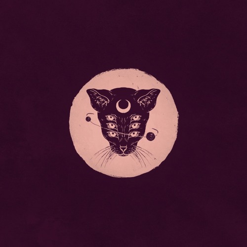 Moon Surfer