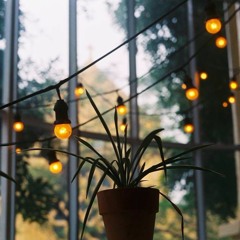Mưa - Doãn Hoài Nam, Mạc Mai Sương (Tranquil)