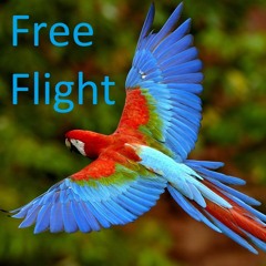 Free-Flight