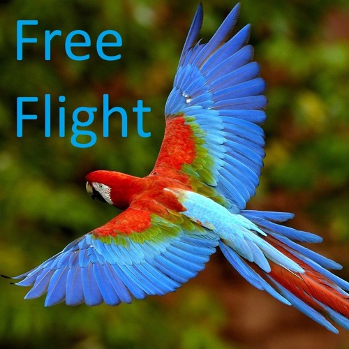 Free-Flight