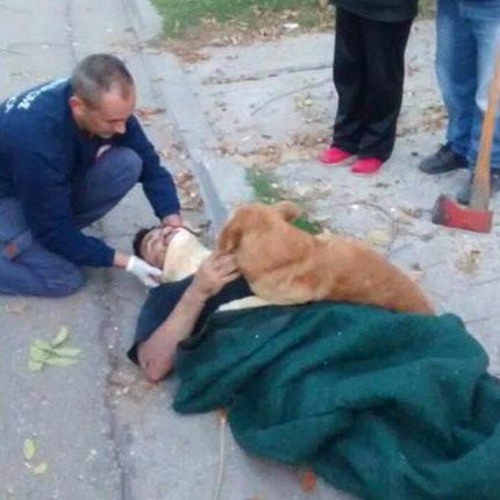 真心看世界20170519【志工早會】