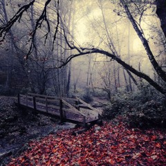 The Jenova Project - Woodlands