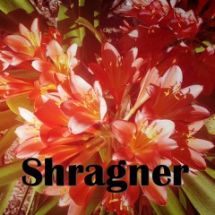 Shragner