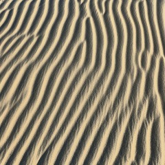 Grains Of Sand