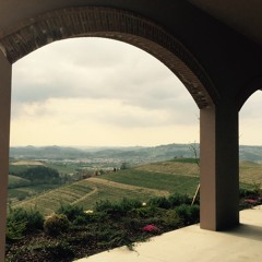 Perfs_conga_07_05_17