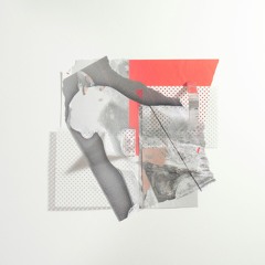 Rotten Citizens Vol. 2 Remixes  (RCF#09) OUT NOW!!!