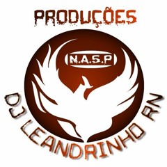 Dj Leandrinho RN Feat Ludmila (Cheguei) 2017