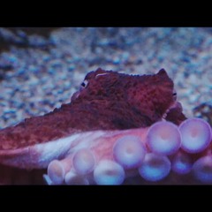 悲しみが足りない_Lack of sorrow_offvocal Mastering