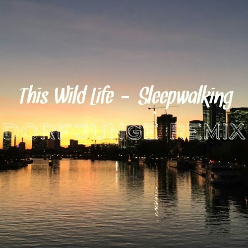 The Wild Life - Sleepwalking (Dorfjunge Remix)