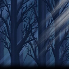 Forest Nocturne