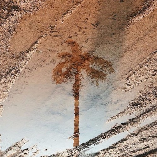 derpp. (Free Download)