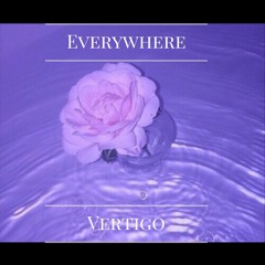 Everywhere (Prod. Fluws) Mixtape Teaser