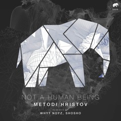 Metodi Hristov - Facing Assault (Whyt Noyz Remix) [Set About] PREVIEW