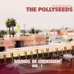 The Pollyseeds - Intentions (feat. Chachi)
