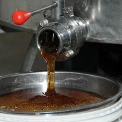 Marcondes Lima diz que a apicultura é uma atividade que contribui com o meio ambiente