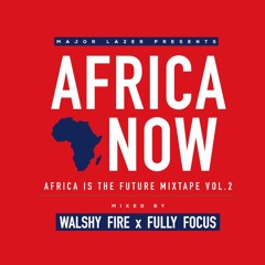 Walshy Fire x Fully Focus - Africa Now (AITF Vol. 2)