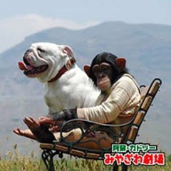 universal|body|negativity - struggle acid