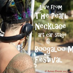 Live at Boogaloo Festival