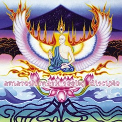 Amaresh Mark Seeling - "On The Path" (Disciple)