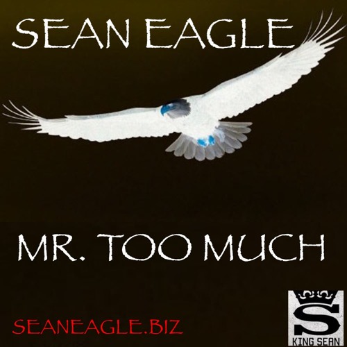 Mr. Too Much by Sean Eagle