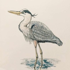 B'yado (Hebrew & English)