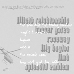 Texas Noise and Ambience 2017