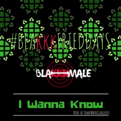 I Wanna Know [Prod. SomeWhereGorgeous]