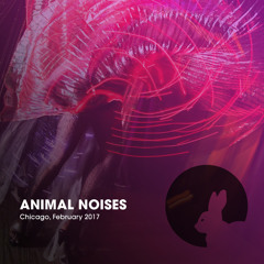 Animal Noises @ Thump Night: Masquerade Feb 25 2017