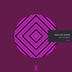 Pablo del Monte - The Journey EP Mini Mix