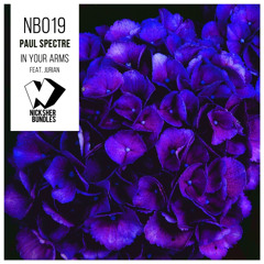 Paul Spectre feat. Jurian - In Your Arms  (Original Mix)