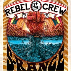 S-Range Live in Hamburg Psy Rebel Crew Event (Progressive Full-on)