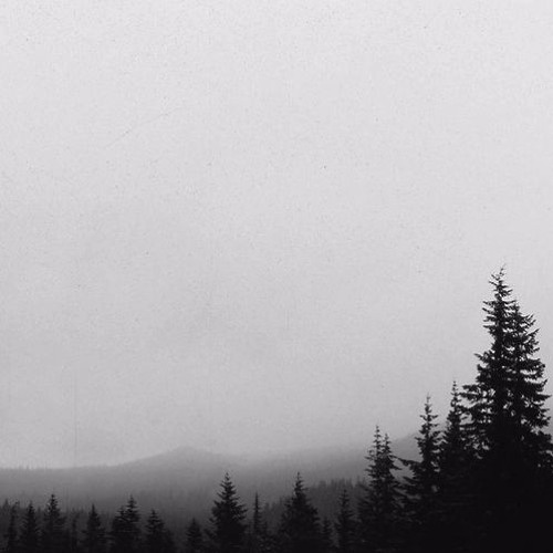 Serenity