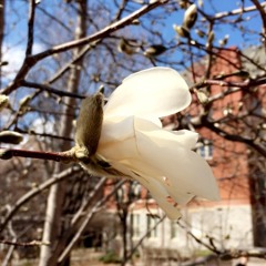 Something in the Way You Move & Coming Back for You