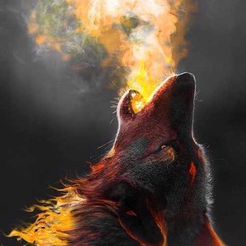 Wolf Warning 'In Flame'