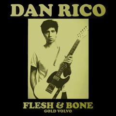 Dan Rico - Gold Volvo