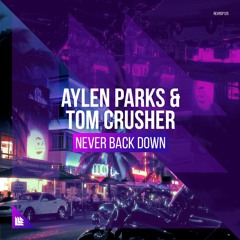 Alyen Parks & Tom Crusher Vs Avicii & Nicky Romero - Never Back Down X I Could Be The One