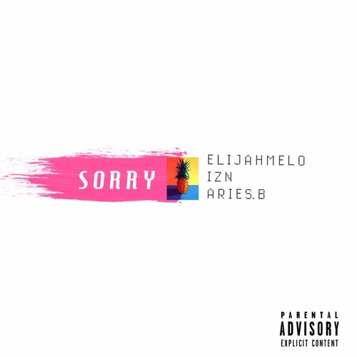 Sorry w/ IZN x Aries B